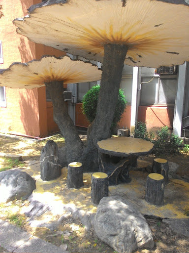 南台科技大學 - 發現蘑菇