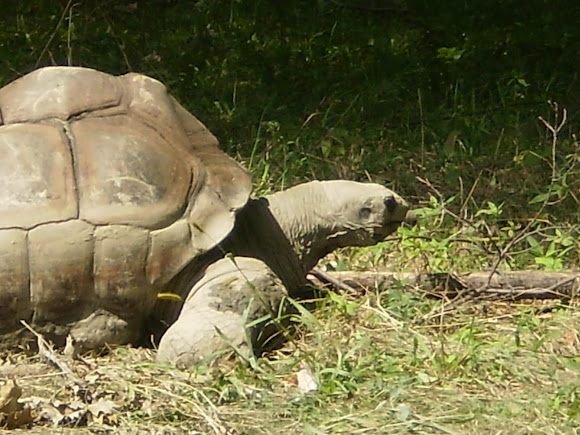 Spotting Image 1