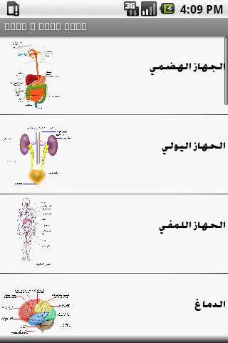 Arabic anatomy puzzles