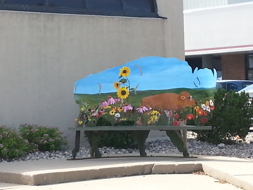 Buffalo Painted Bench