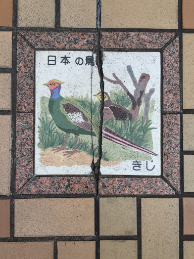 日本の鳥きじ