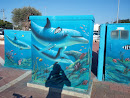 Dolphin Power Boxes
