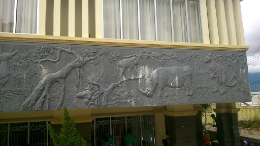 Bukittinggi Zoologi Museum