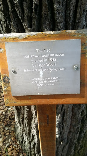 Isaacs Wolf Tree Sign