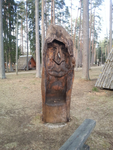 Carved Hollow Tree Face 