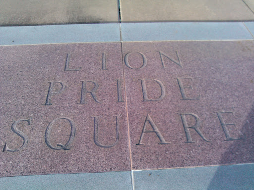 Lion Pride Square