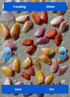 How to mod Seashell Wallpapers 1.0.0 mod apk for bluestacks