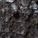 Unknown spotting