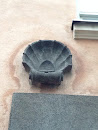 Shell On The Wall