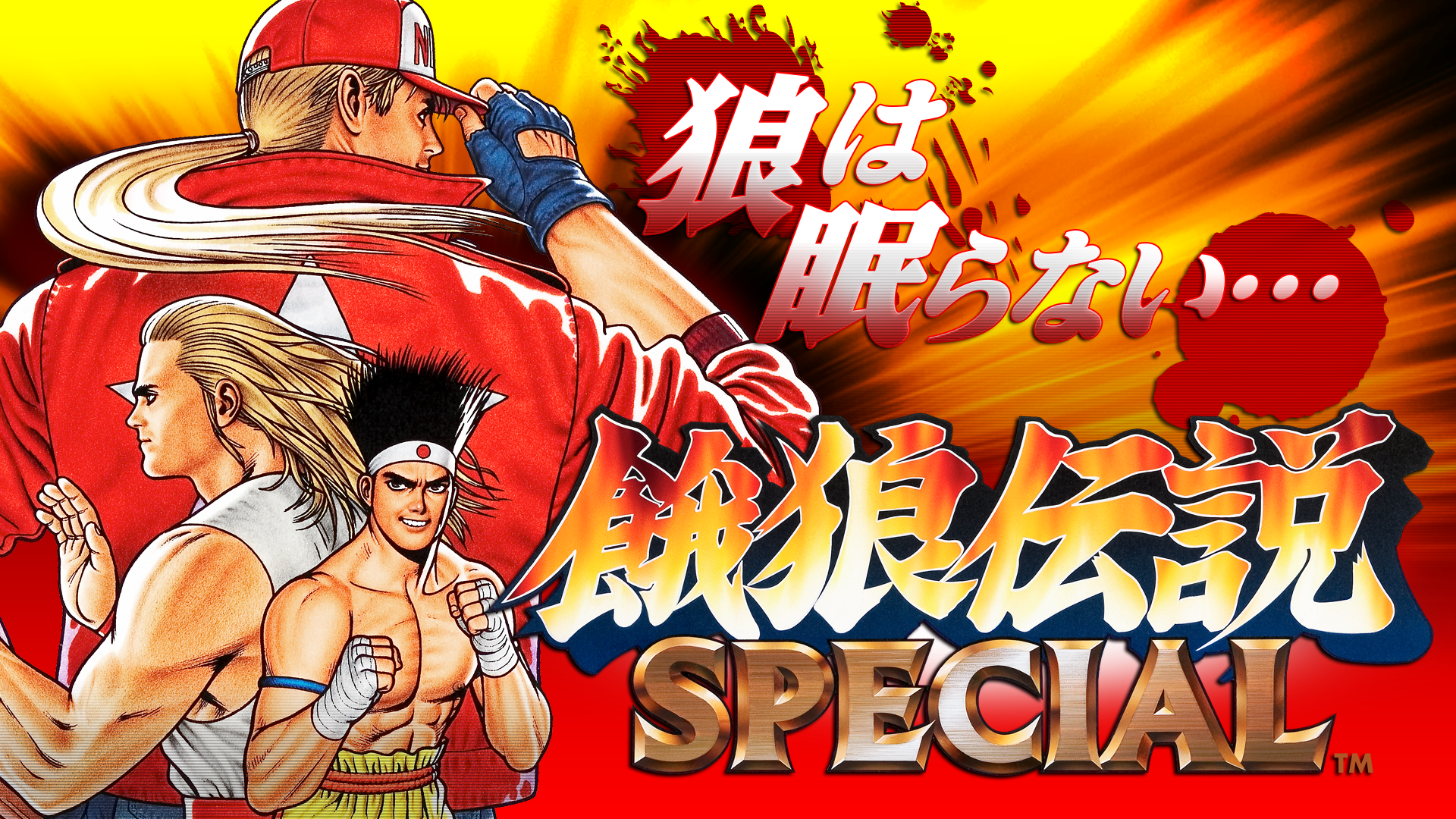Android application FATAL FURY SPECIAL screenshort