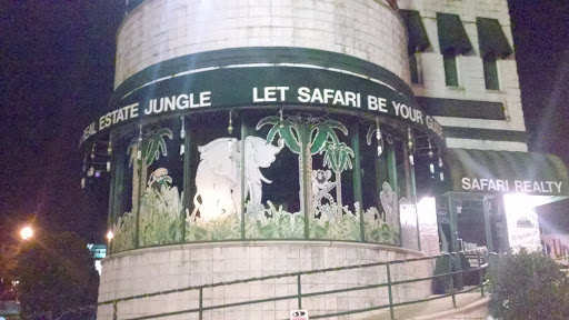 Safari Realty Jungle Window