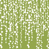 String of Pearls (green)