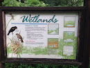 Wetlands 