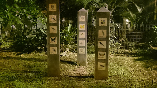Pilares De La Biodiversidad