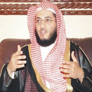 Holy Quran - Hani Rifai.apk 3.33