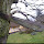 Nature eats man-made - Germany