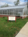 SIUE Greenhouse