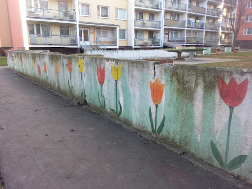 Tulips Border