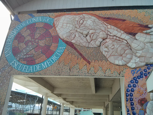 Mural Artístico Escuela Medicina UCR