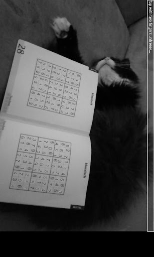 AR Sudoku Solver