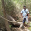 Elephant human struggle