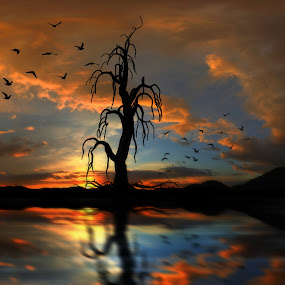 by Robert Weber - Digital Art Places