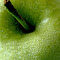 image 13.jpg