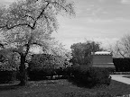 22a.jpg