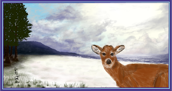Deer