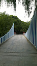 琴桥