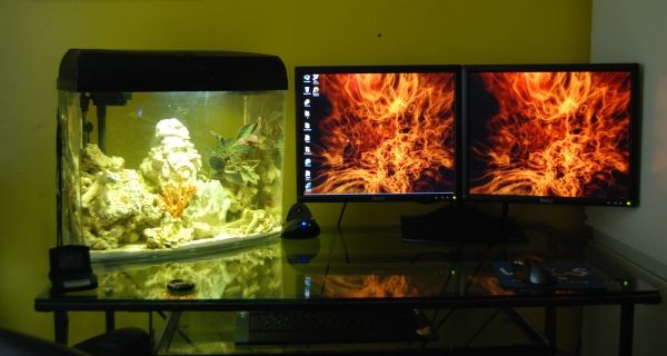 desk%201.JPG