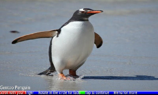 Penguins of Antarctica FREE