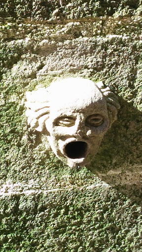 Screeming Stone Face