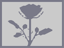 Thumbnail of the map 'Spread The Love'