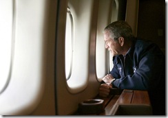 bush