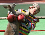 kangaroo