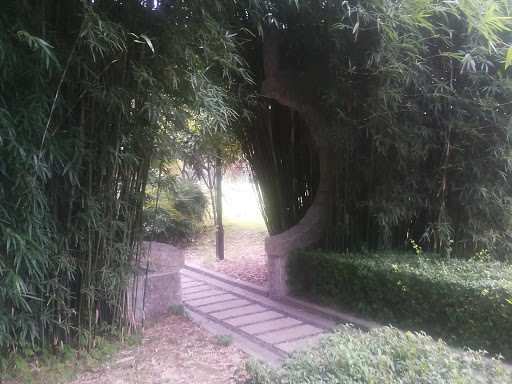 竹林中的半圆门