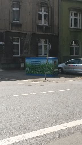 Graffiti Stromkasten Wiese