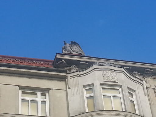 Adler Am Dach