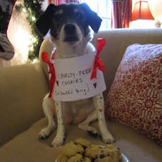 Kate’s Cruelty Free Vegan Chocolate Chip Cookies