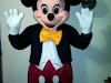 Show De Mickey Y Minnie Mouse