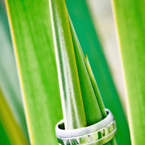 by Marino Foto - Wedding Details