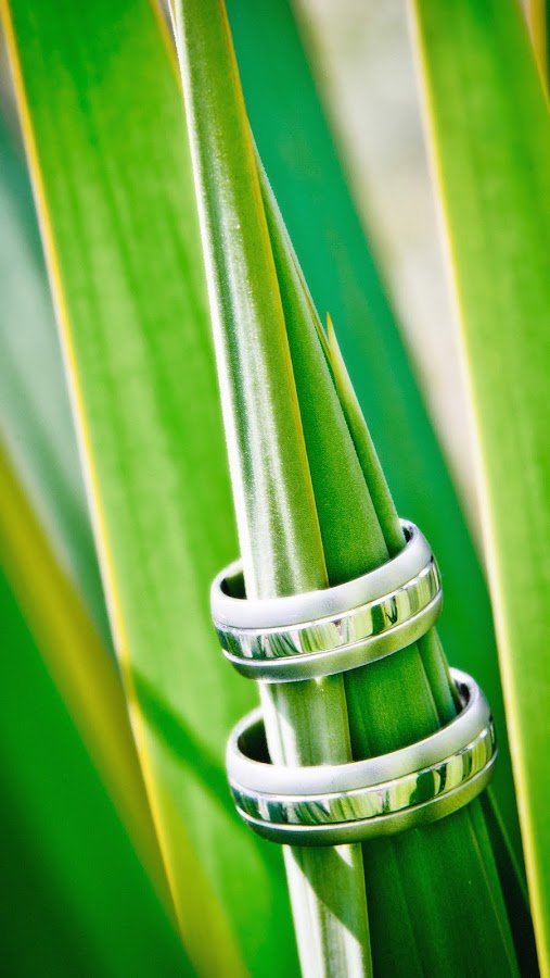 by Marino Foto - Wedding Details