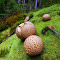 hphotos-ak-ash3/s2048x2048/935048_10200343011191035_534611296_n.jpg