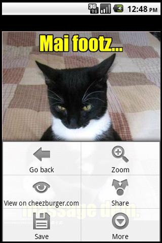 random-lolcat for android screenshot