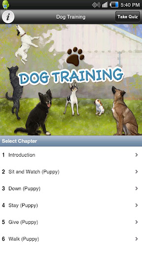 Dog Training