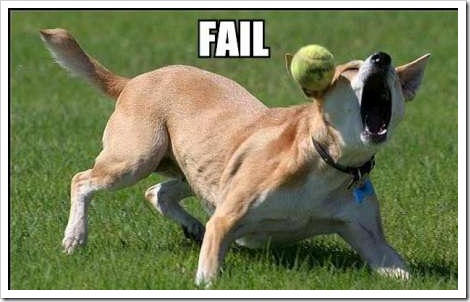 funny fail pictures. fail-dog-ball