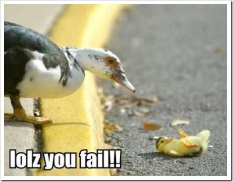 FAIL - Funny Duck Picture. Little ducks don't know all that big ducks do.