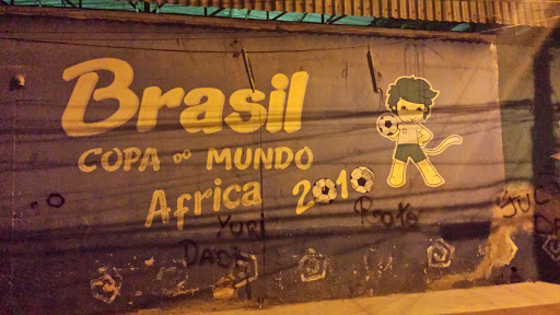 Brasil Copa Do Mundo 2010