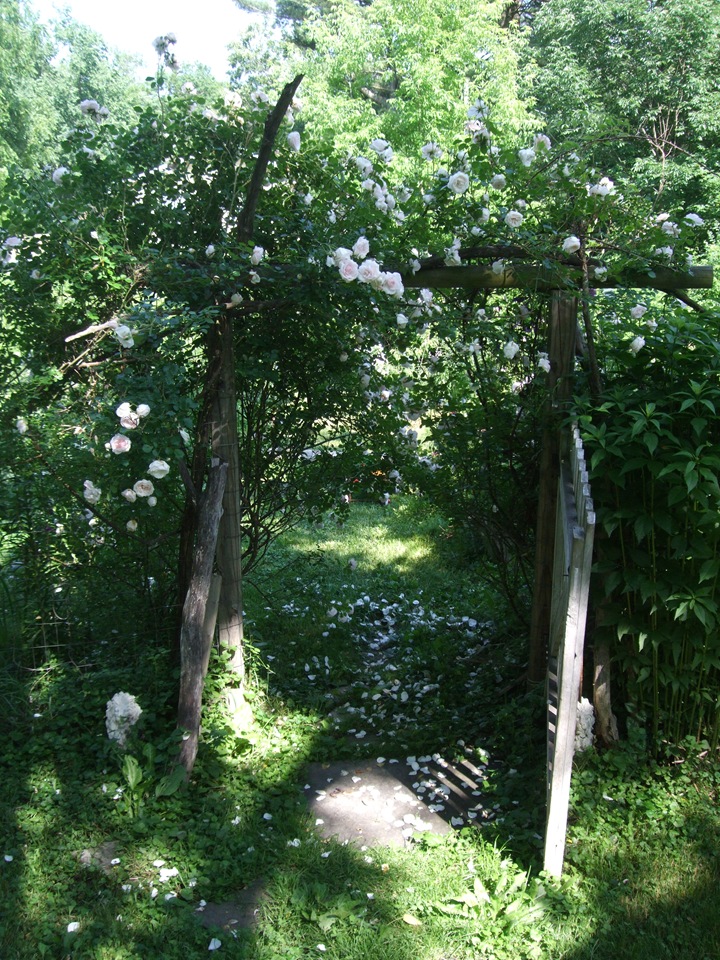 [June 19 Second Garden 1[2].jpg]